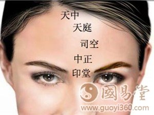 额头看相图解:面相额头看相方法大全