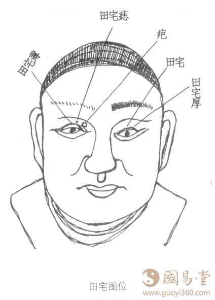 面相图解:田宅宫,田宅相法绝学